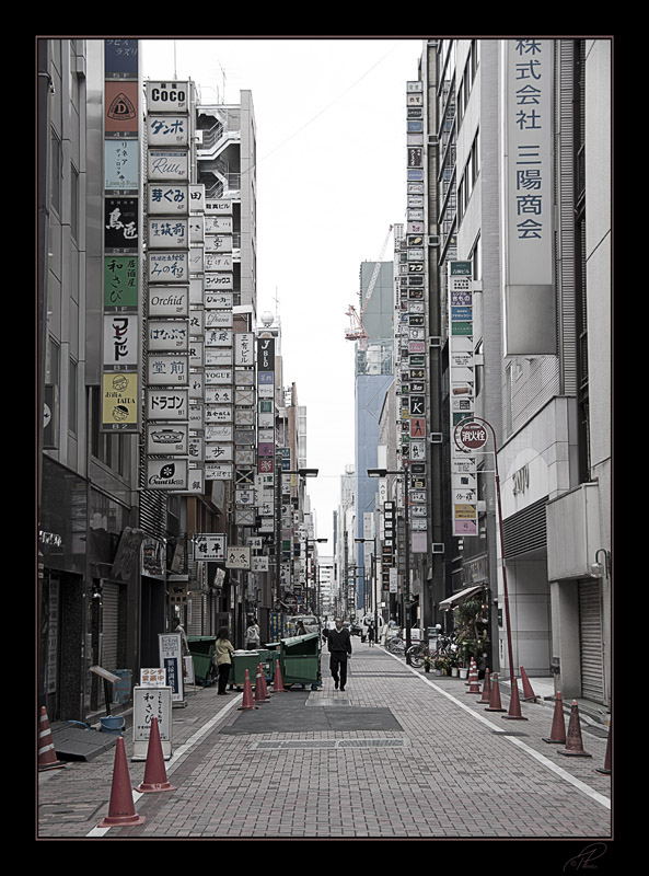 SONY DSC