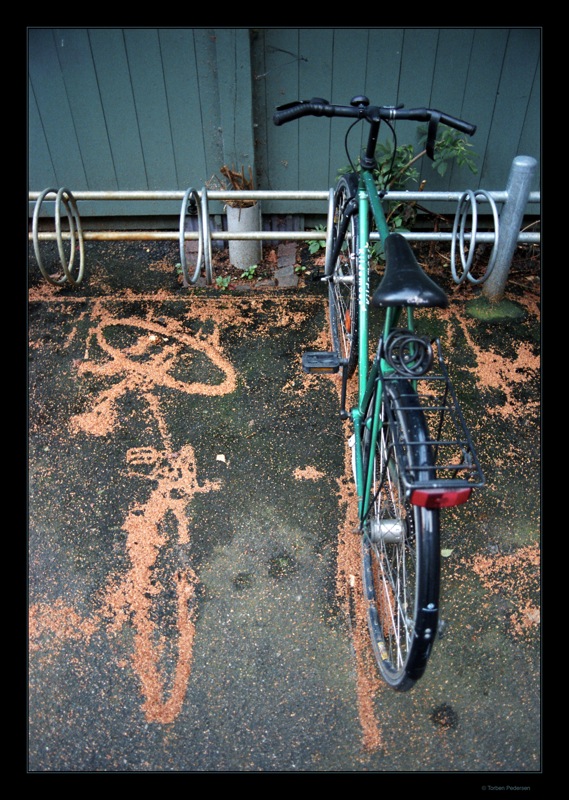 cykelskygge
