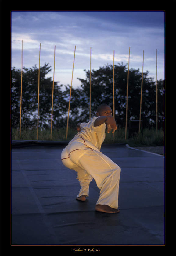 danser