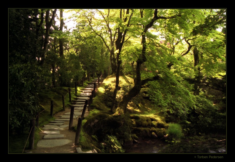 nikko06-01