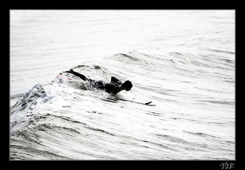 surfer dreng på bræt