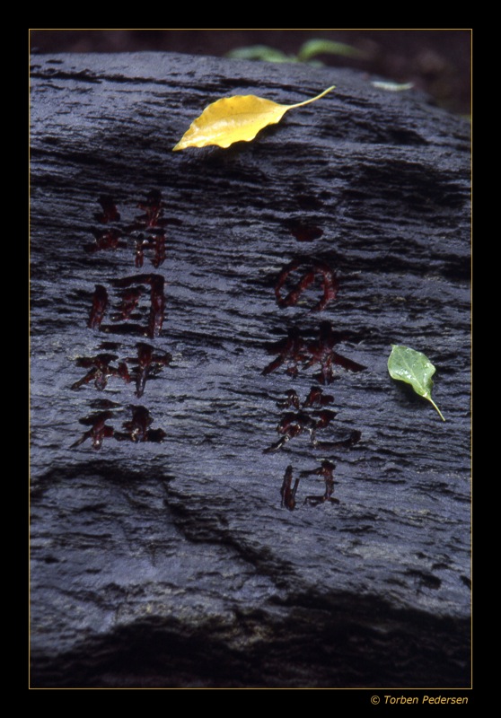 yasukuni jinja sten