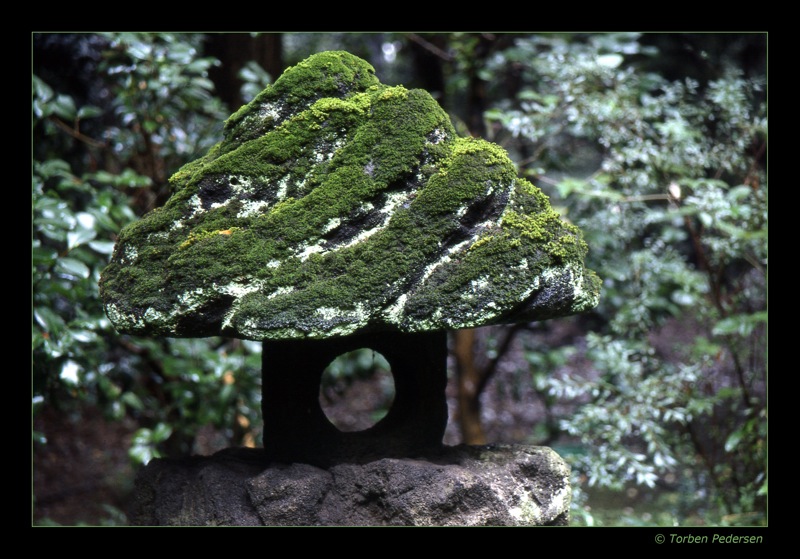 yasukuni moslampe